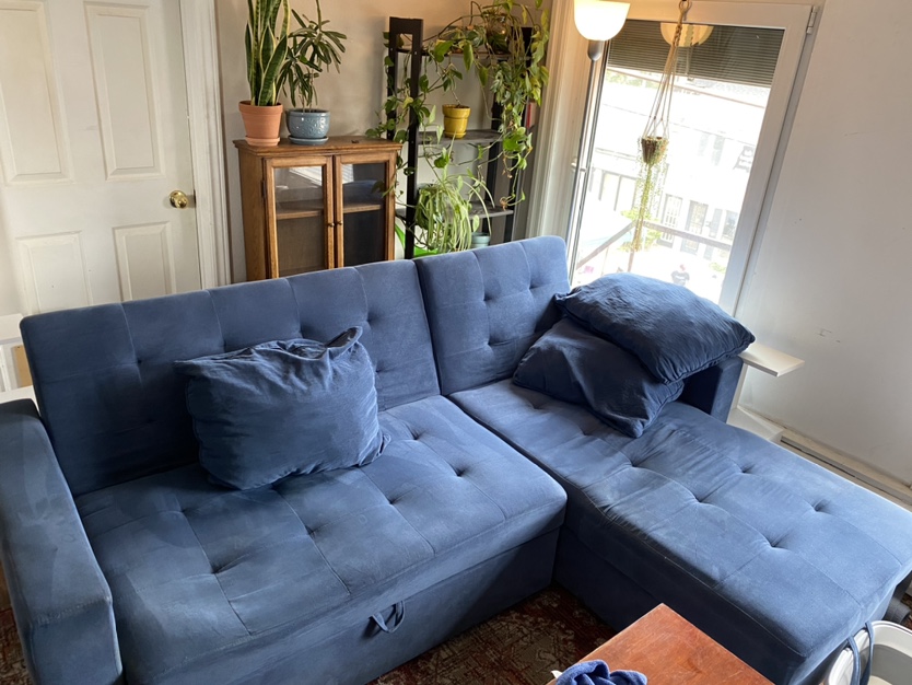 Structube Blue Sectional Pull out Sofa (FREE)