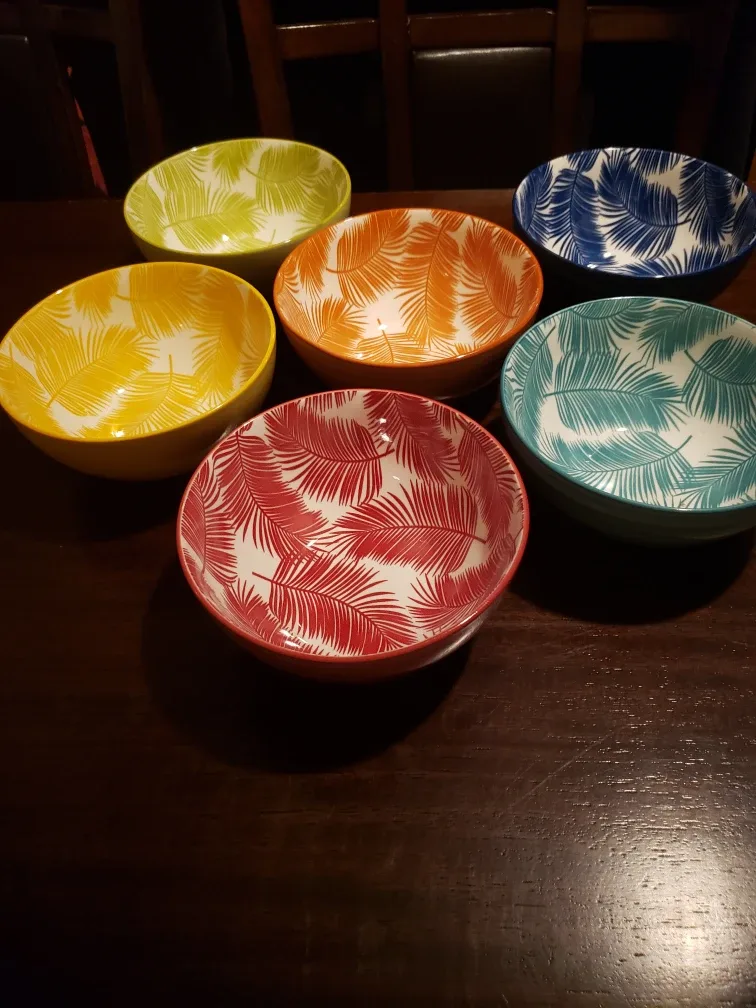 🧡Set of 6 bowls Costco Tropical like brand new🧡🥕 thumbnail
