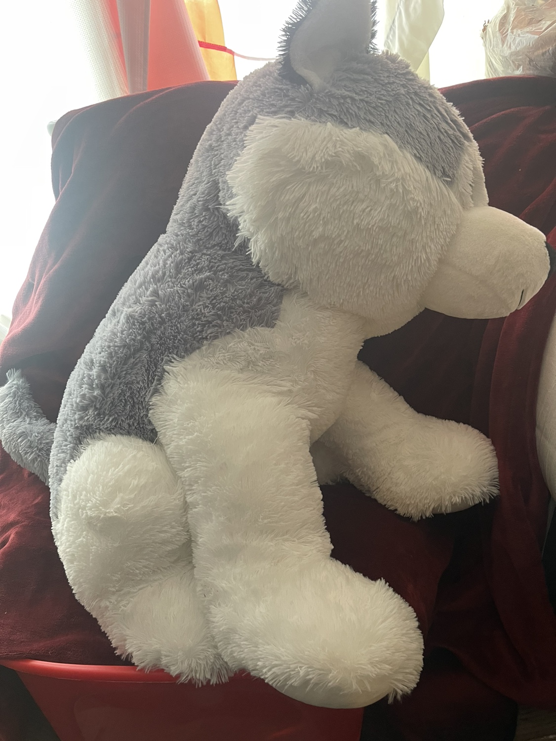 Large Plush Husky Dog with Big blue eyes needs a New Home - photo 2