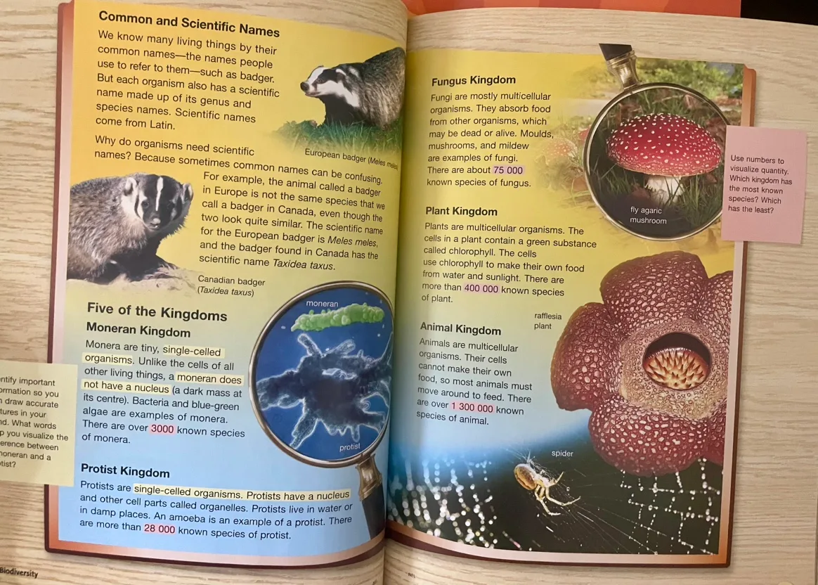 NELSON LITERACY (GR. 6) LITERATURE/SCIENCE/SOCIAL STUDIES image indicator(9)