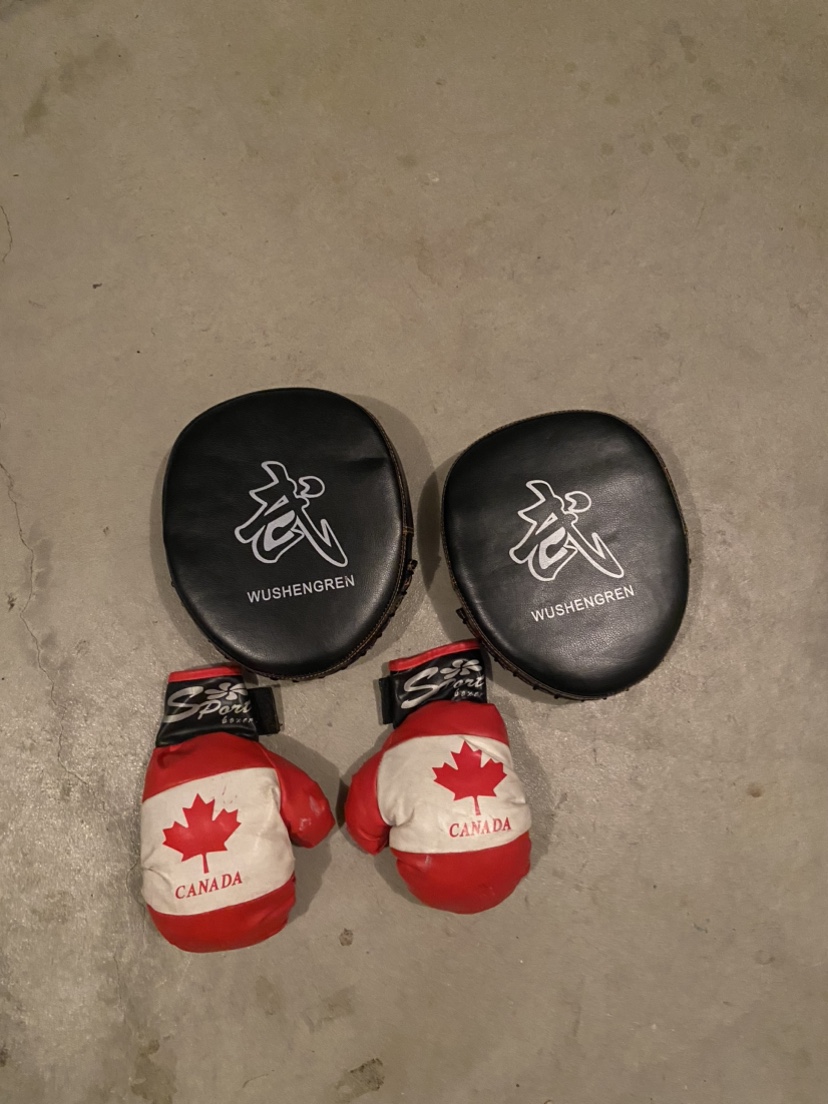 Child Boxing Gloves & Pads