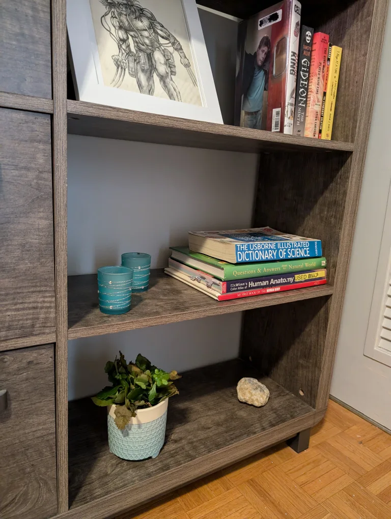 Bookcase with Drawers image indicator(7)