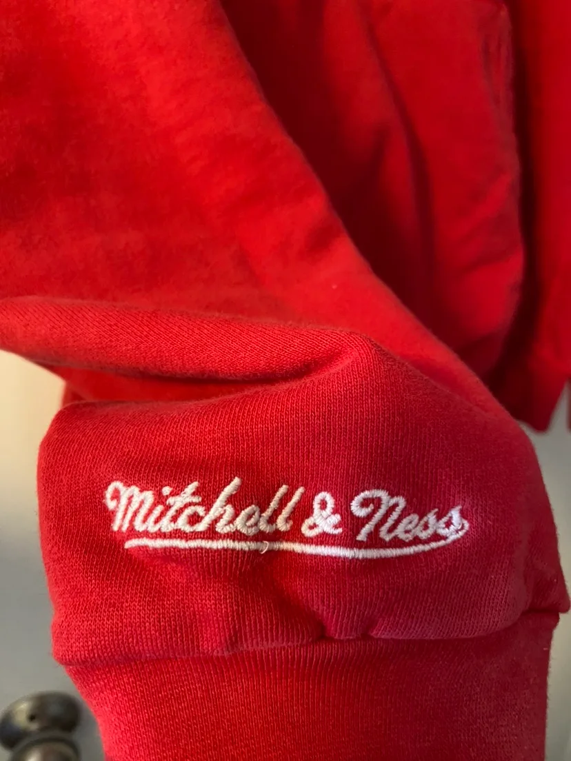 Men’s Toronto Raptors Sweater image indicator(3)