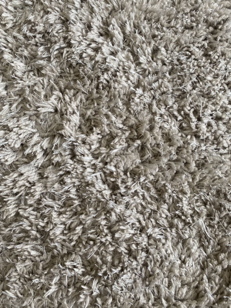 Light Grey Rug (6'x 9' | 183 × 274см) - photo 4