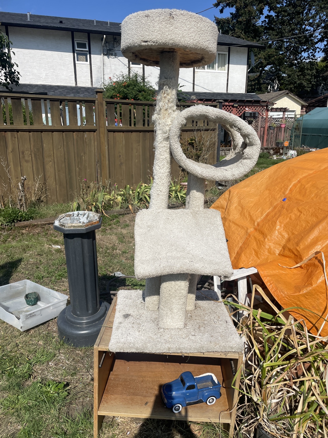 Cat Tree