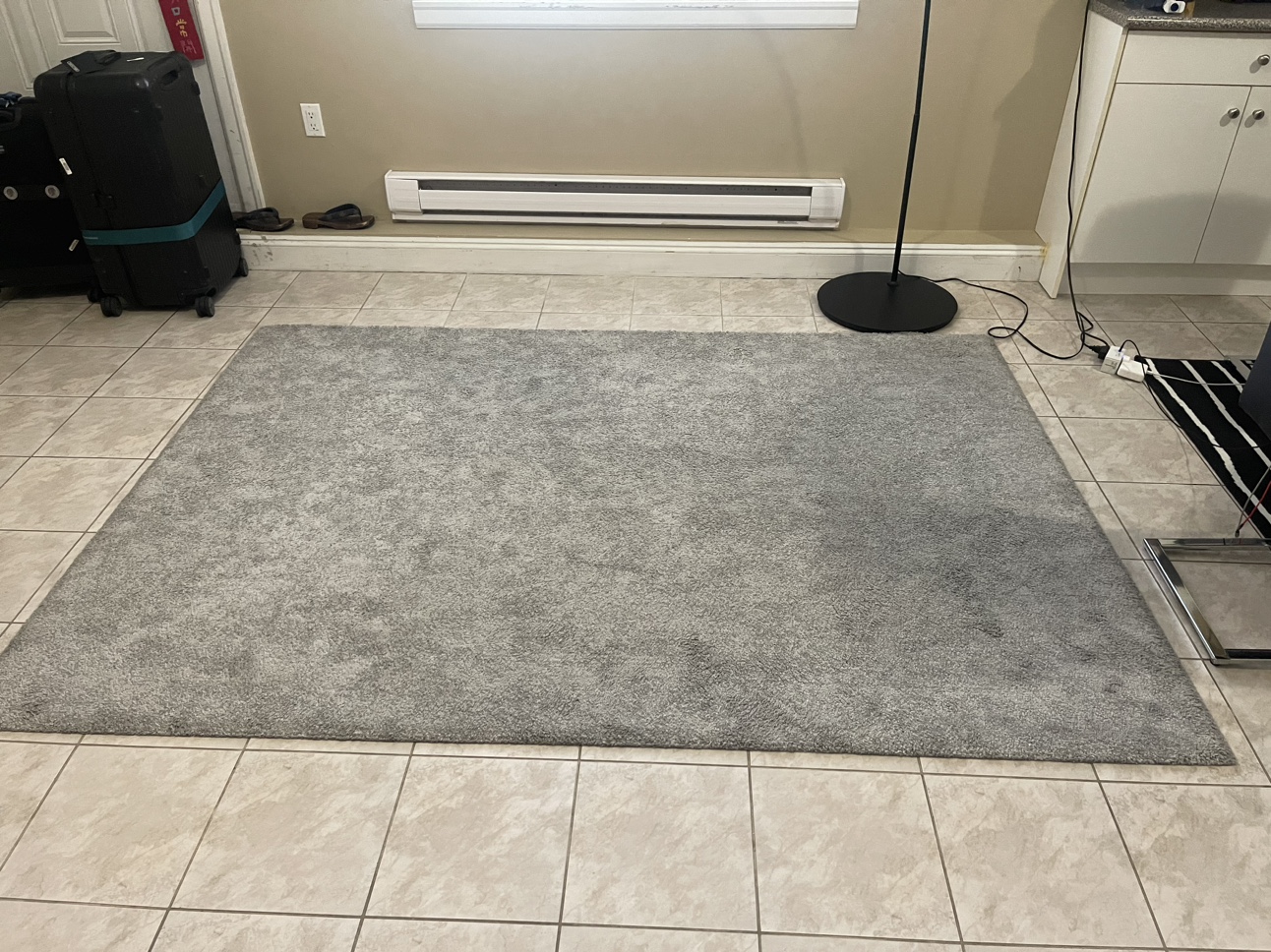 Grey Shag Rug