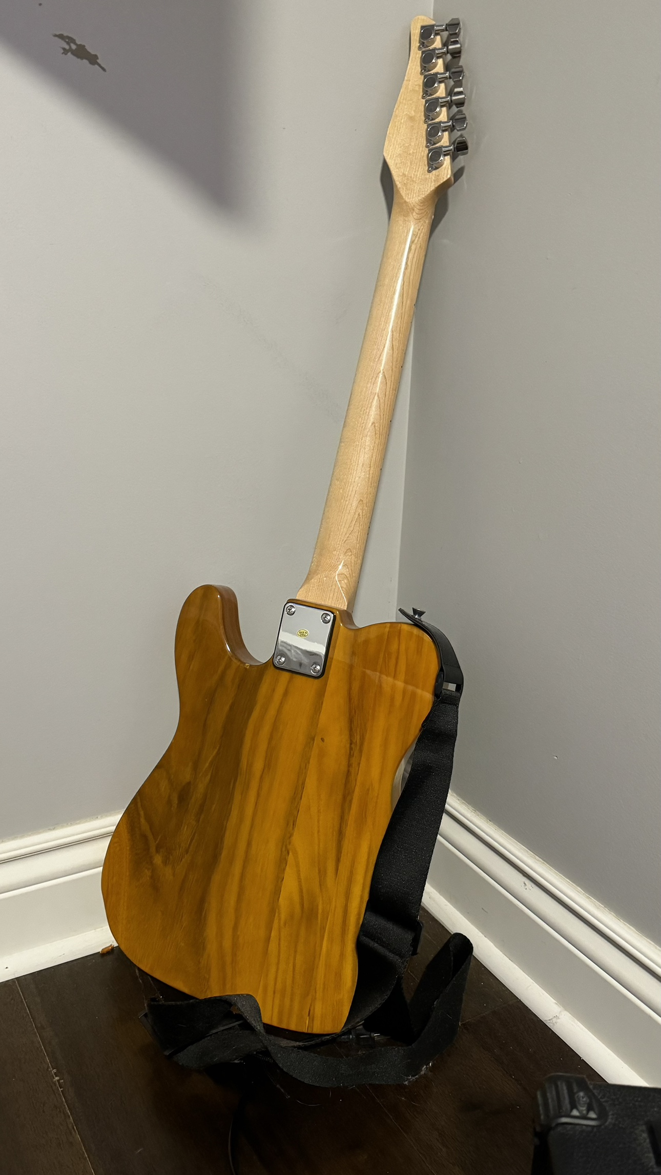 Electric Guitar and Amp - photo 3