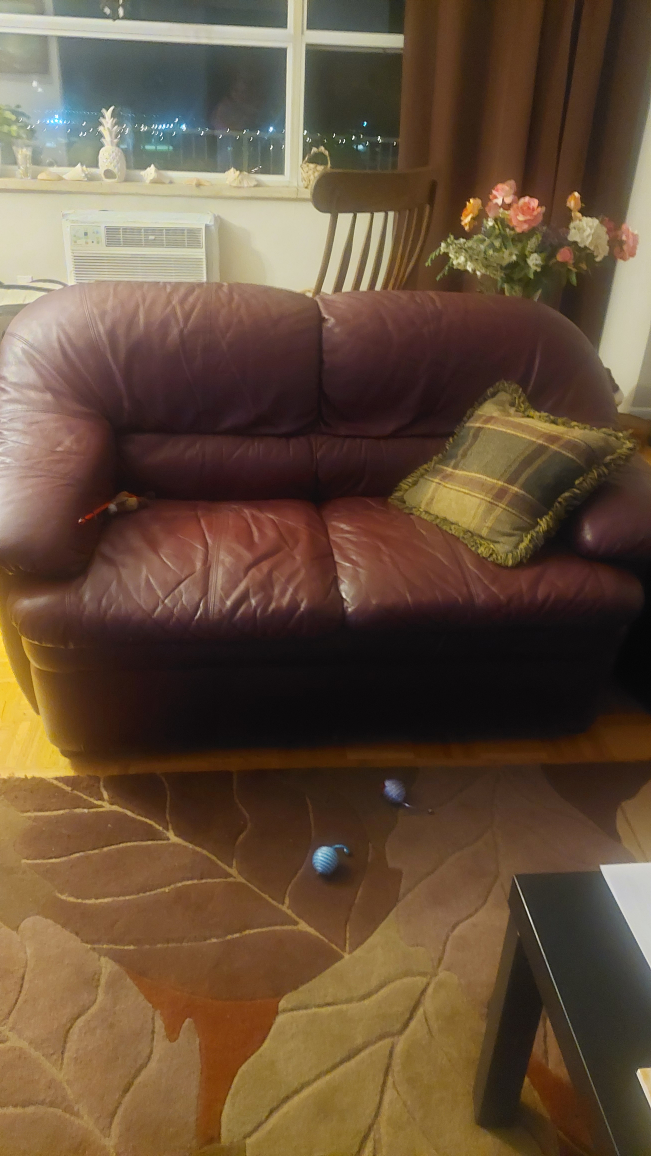 Leather Loveseat