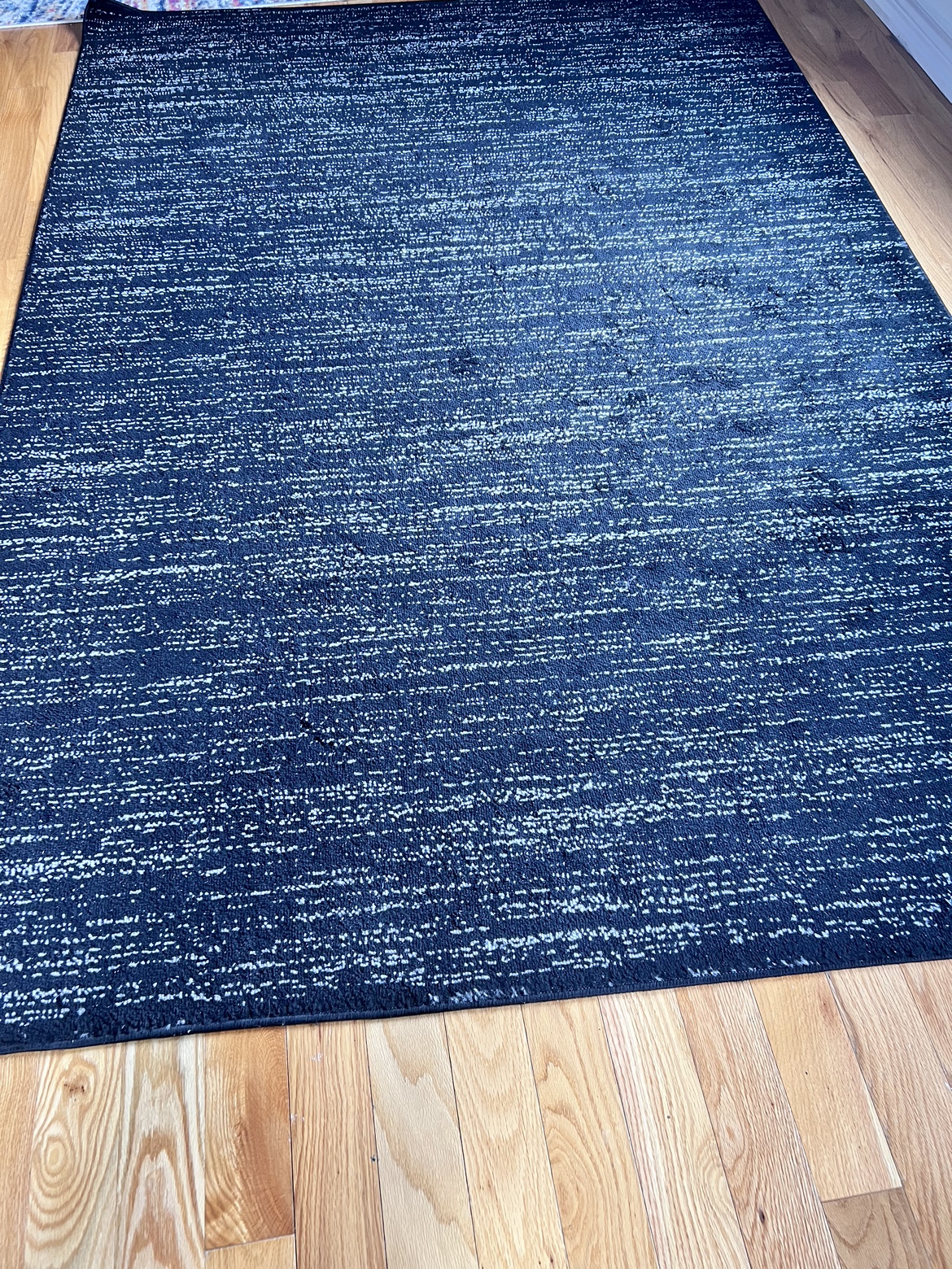 Two Living area Rugs | Carpets