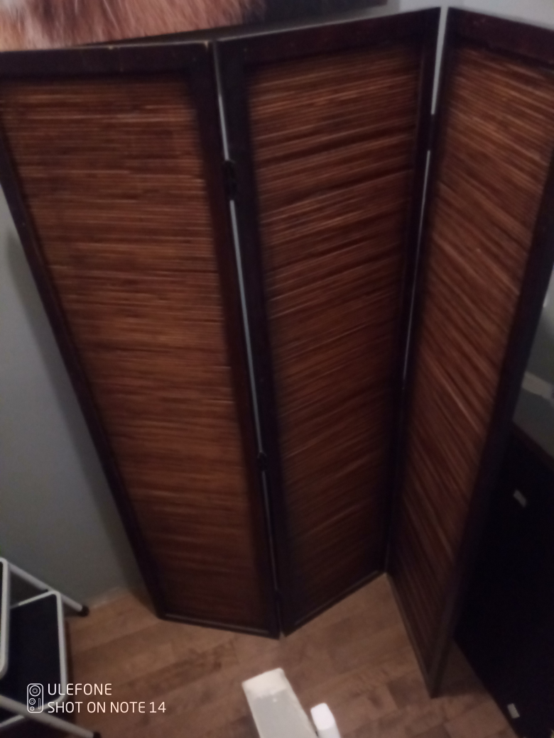 Three Panel Room Divider - photo 2
