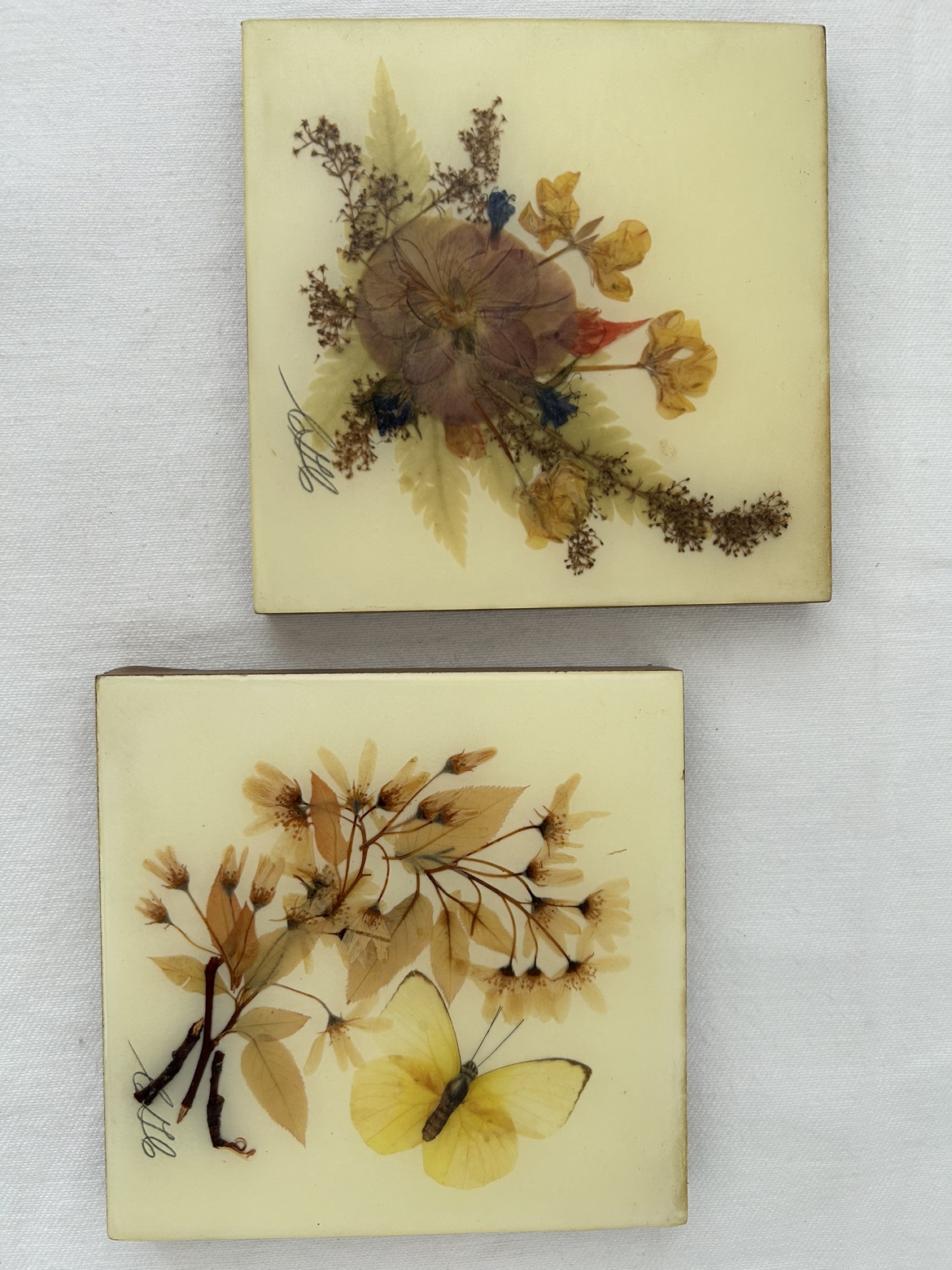 Set of Two Pressed Flower Art #freecycle - photo 2