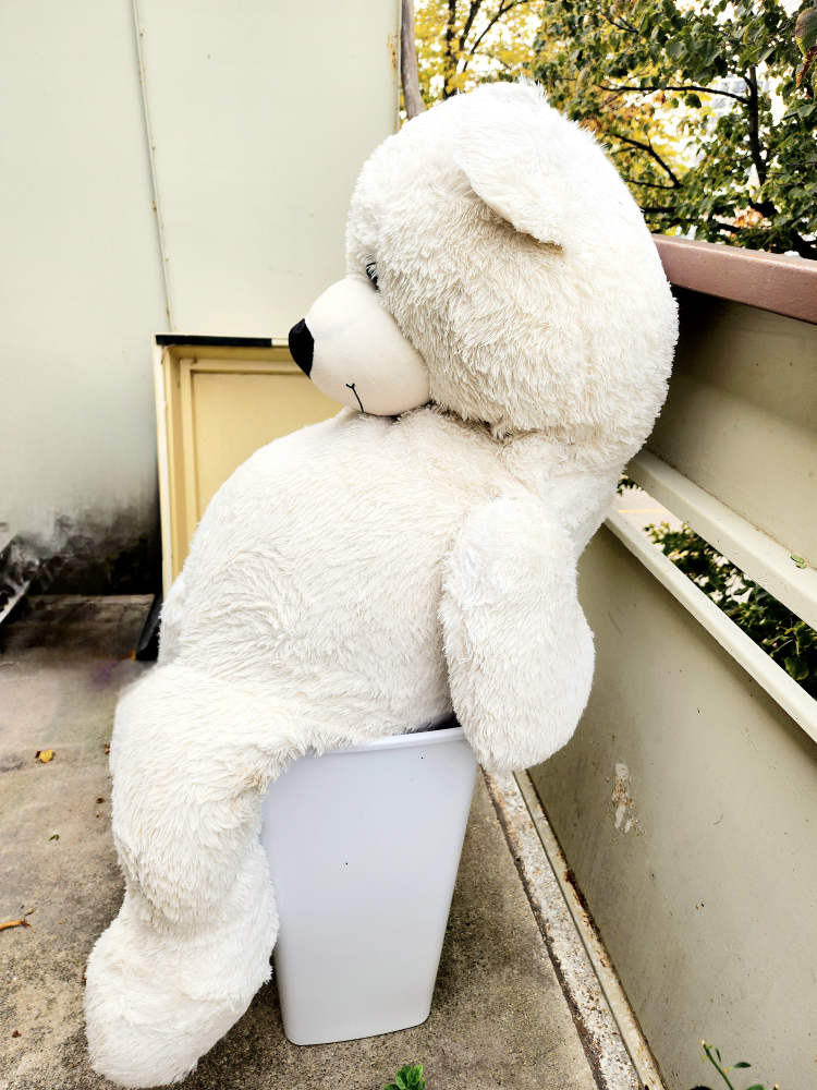 Urgent Sale: Giant White Teddy Bear - photo 2