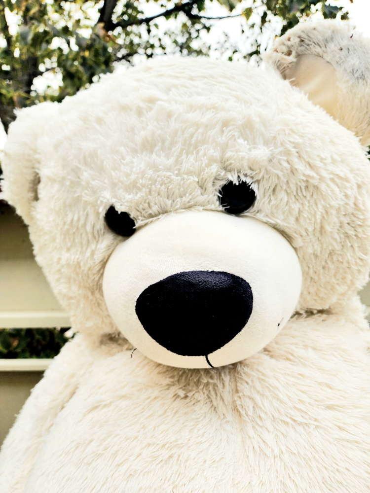 Urgent Sale: Giant White Teddy Bear - photo 3