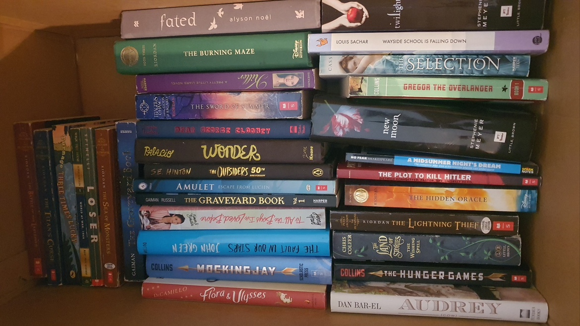 Large Book Lot - photo 2