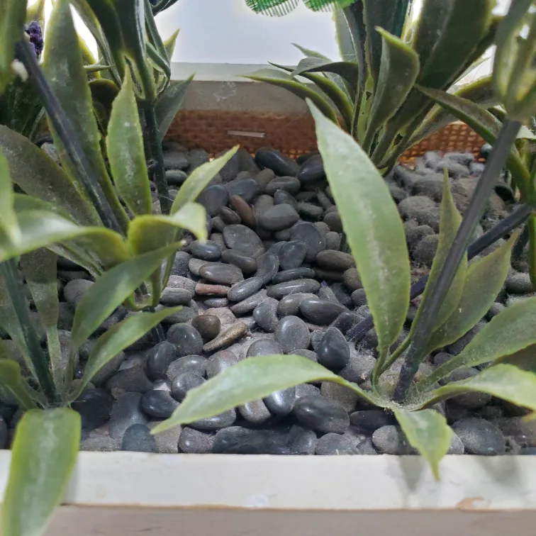 Fake flowers in pots image indicator(7)