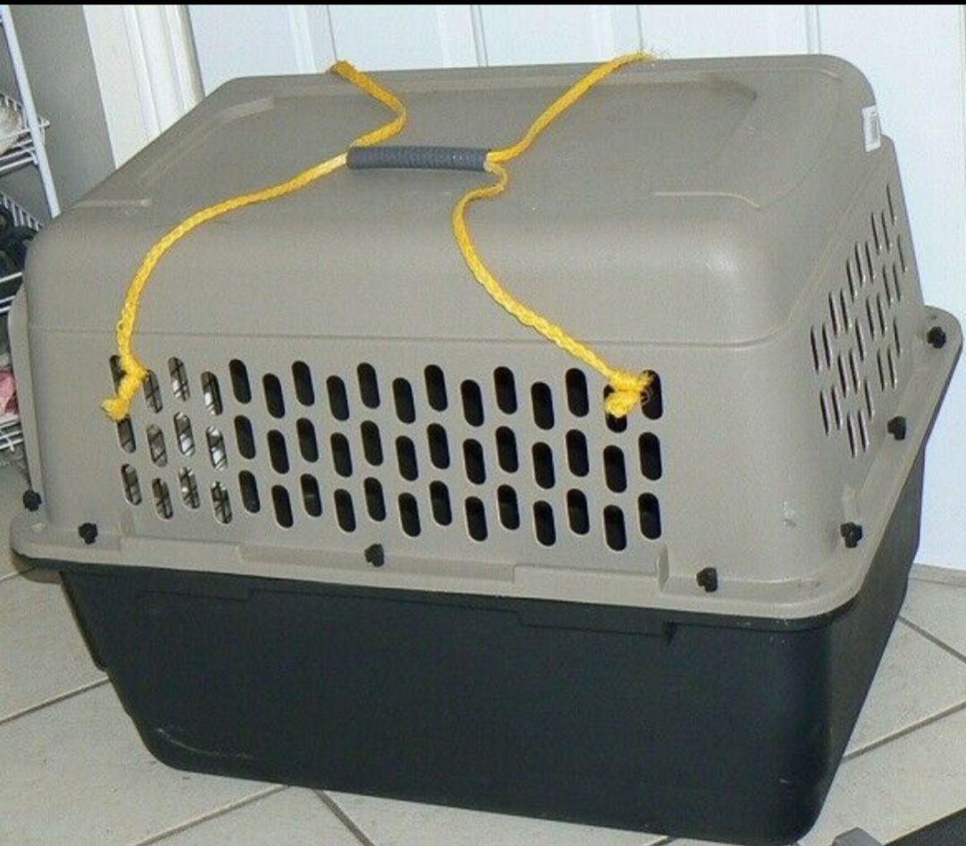 Pet carrier