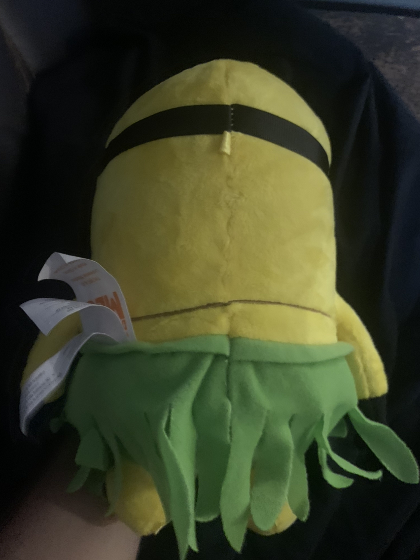 $15 minion talking hula Jerry plush 10” - photo 4