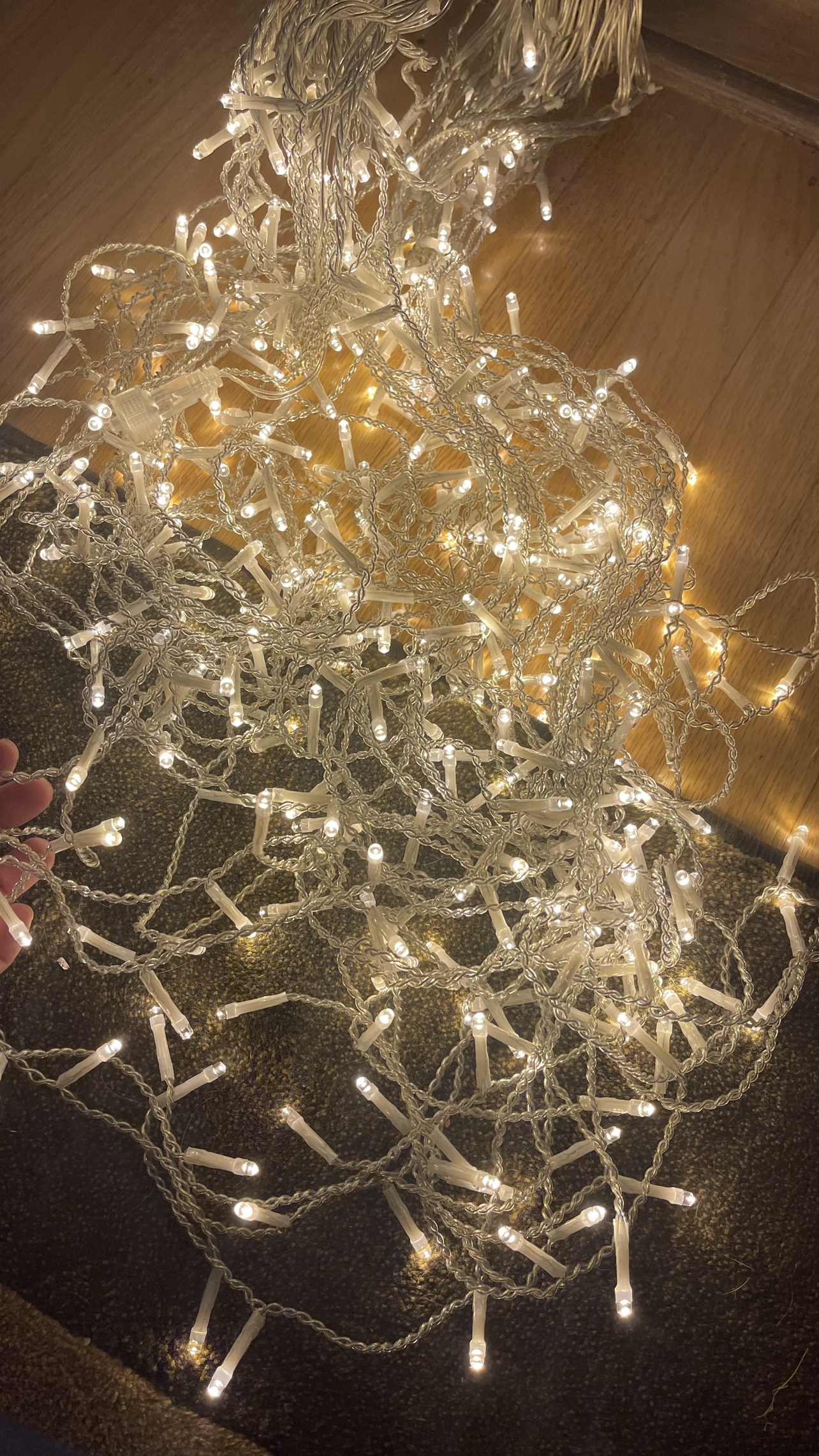 String of Lights holiday