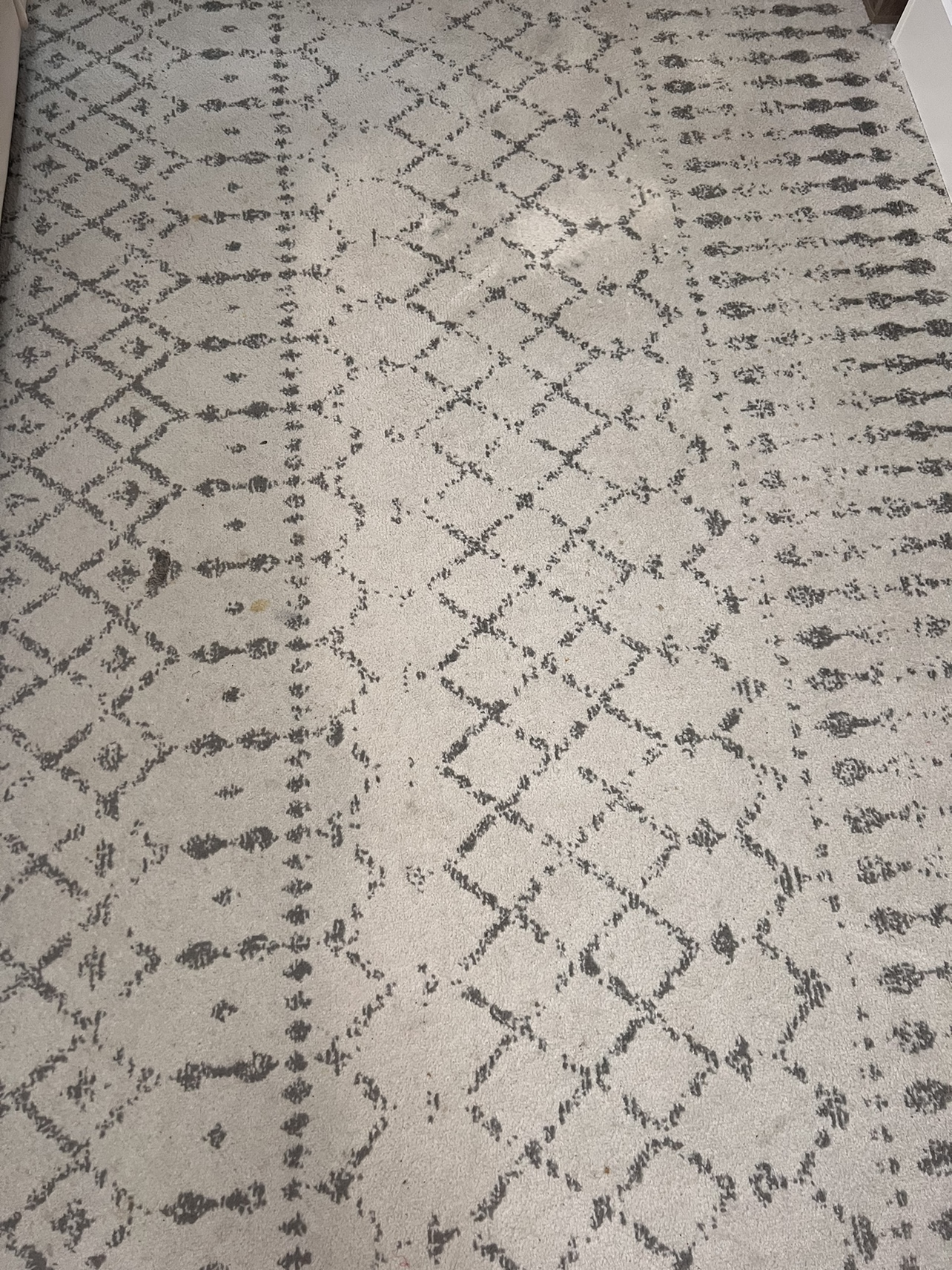 Area rug 8ft by 10ft - photo 5