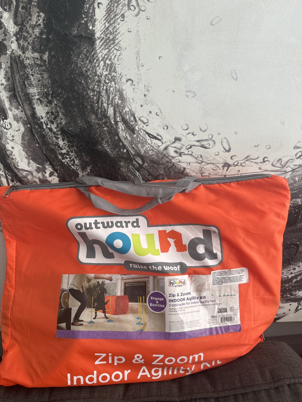 Outward Hound Zip & Zoom Indoor Agility Kit - photo 4