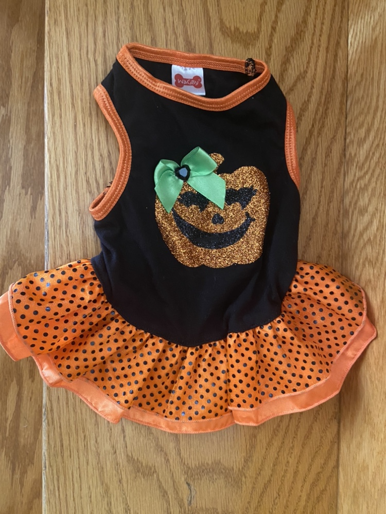 Pumpkin Dog Dress
