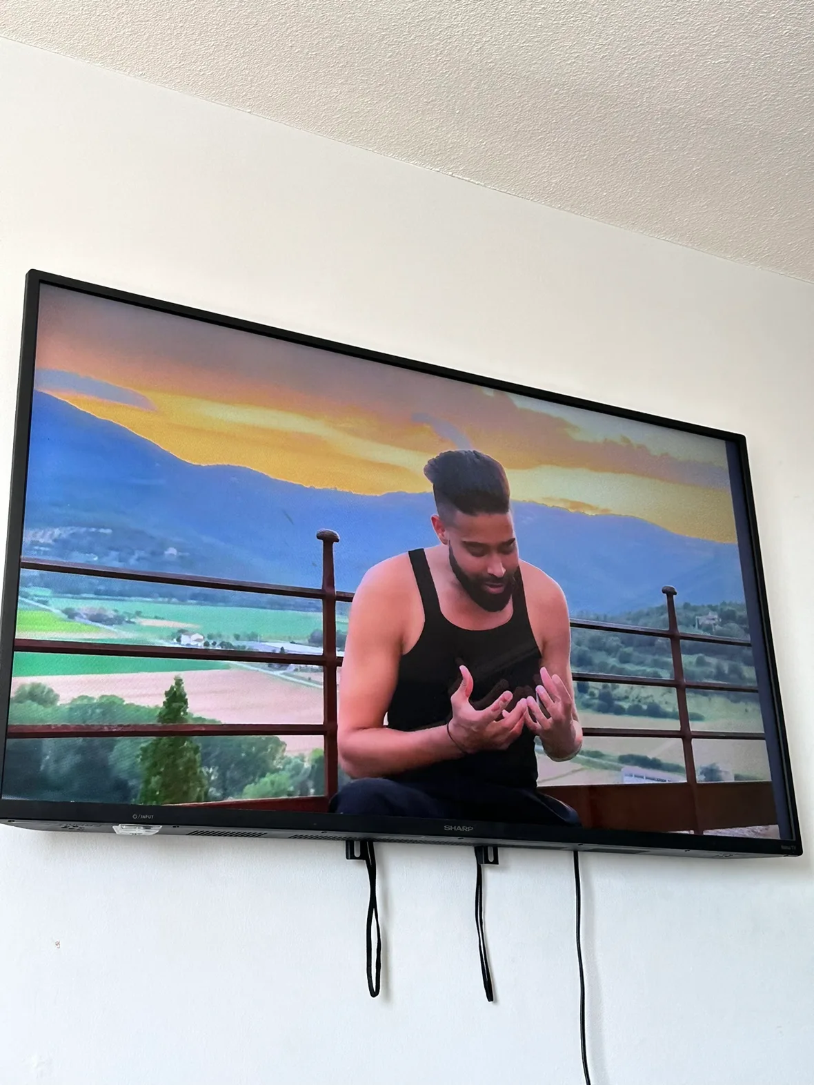 Sharp Roku TV 50” image indicator(3)