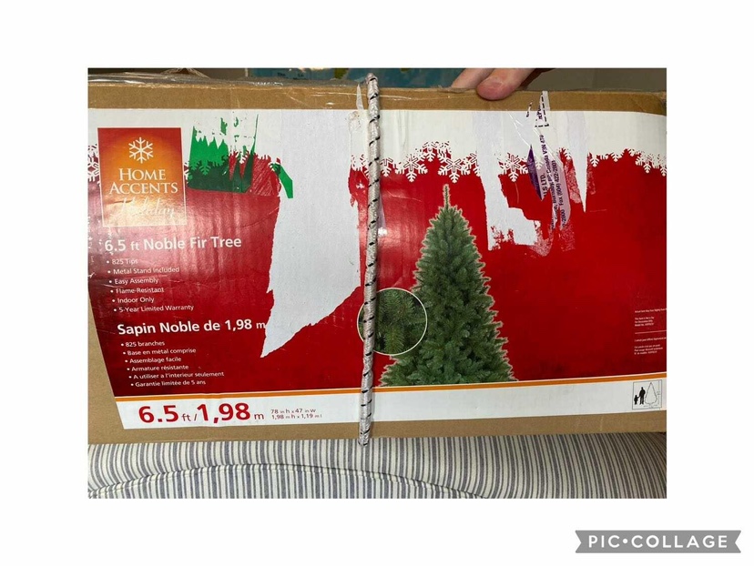 6.5 ft Noble Fir Tree
