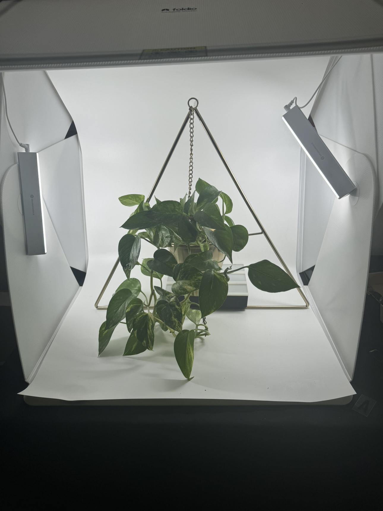 Hanging Plant Stand