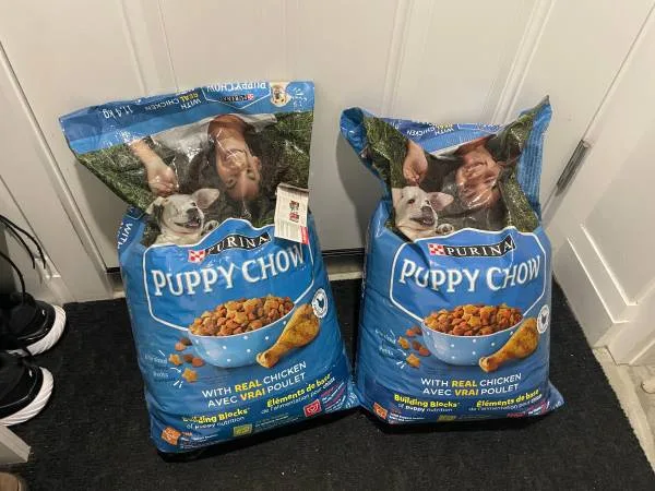 Purina Puppy Chow Real Chicken, Dry Puppy Food 11.4 Kg x 2 Bags thumbnail