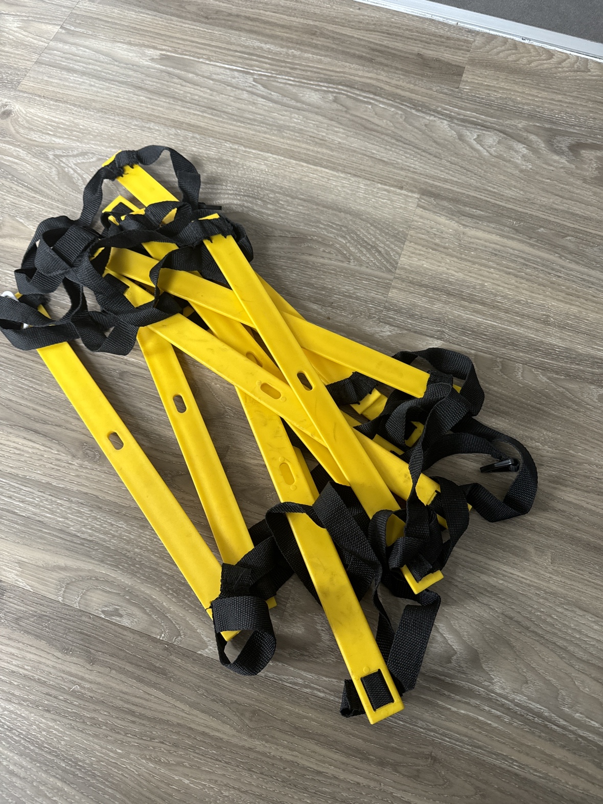 Agility Ladder