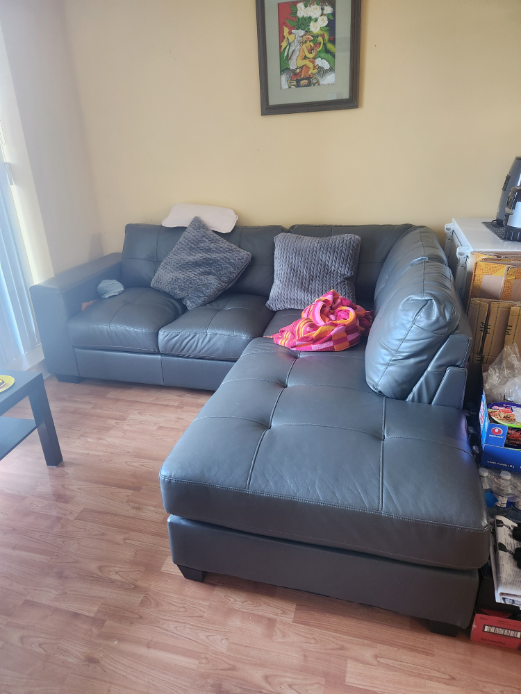 Grey Sectional Couch