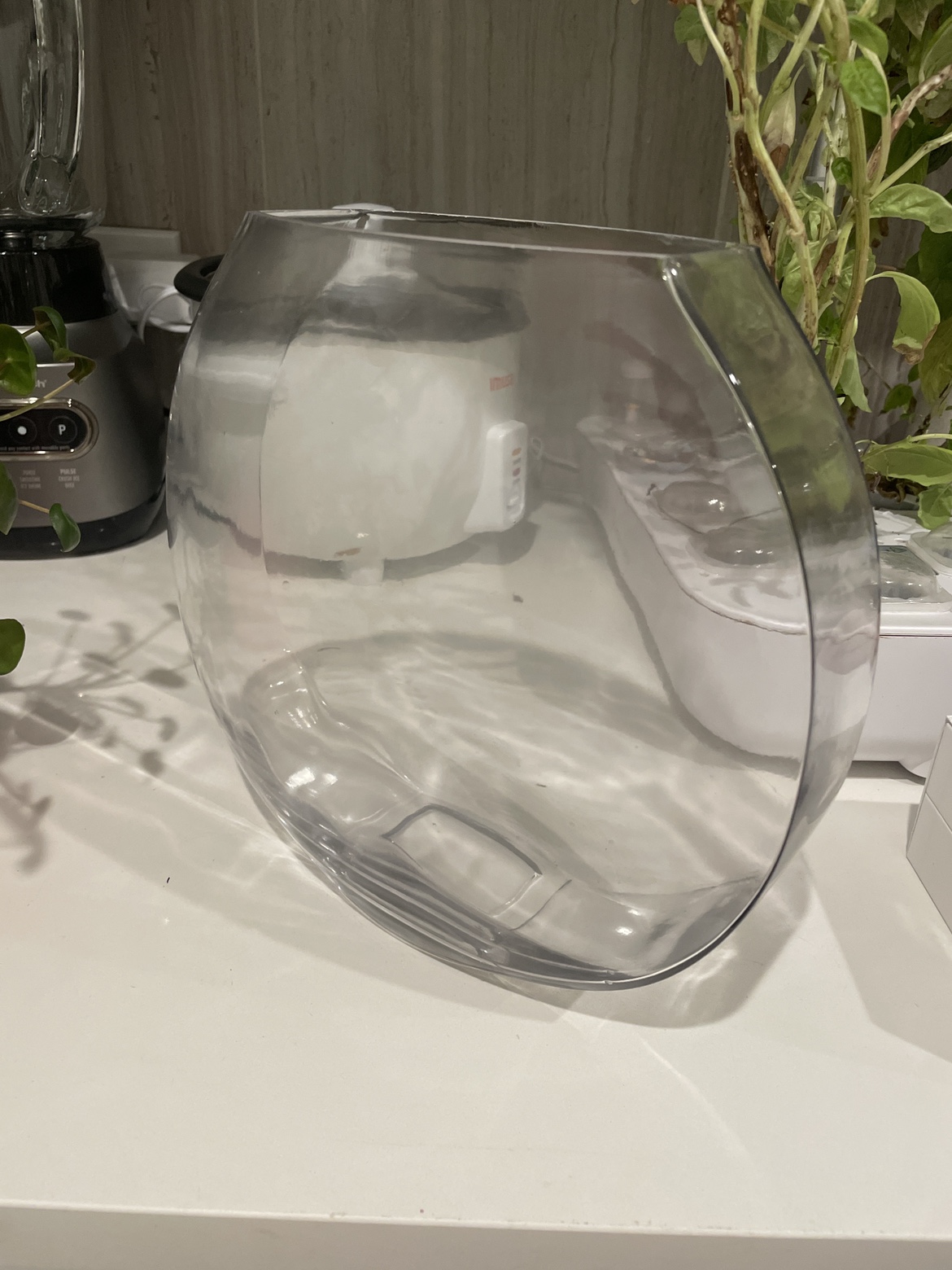 Large Clear Glass Vase