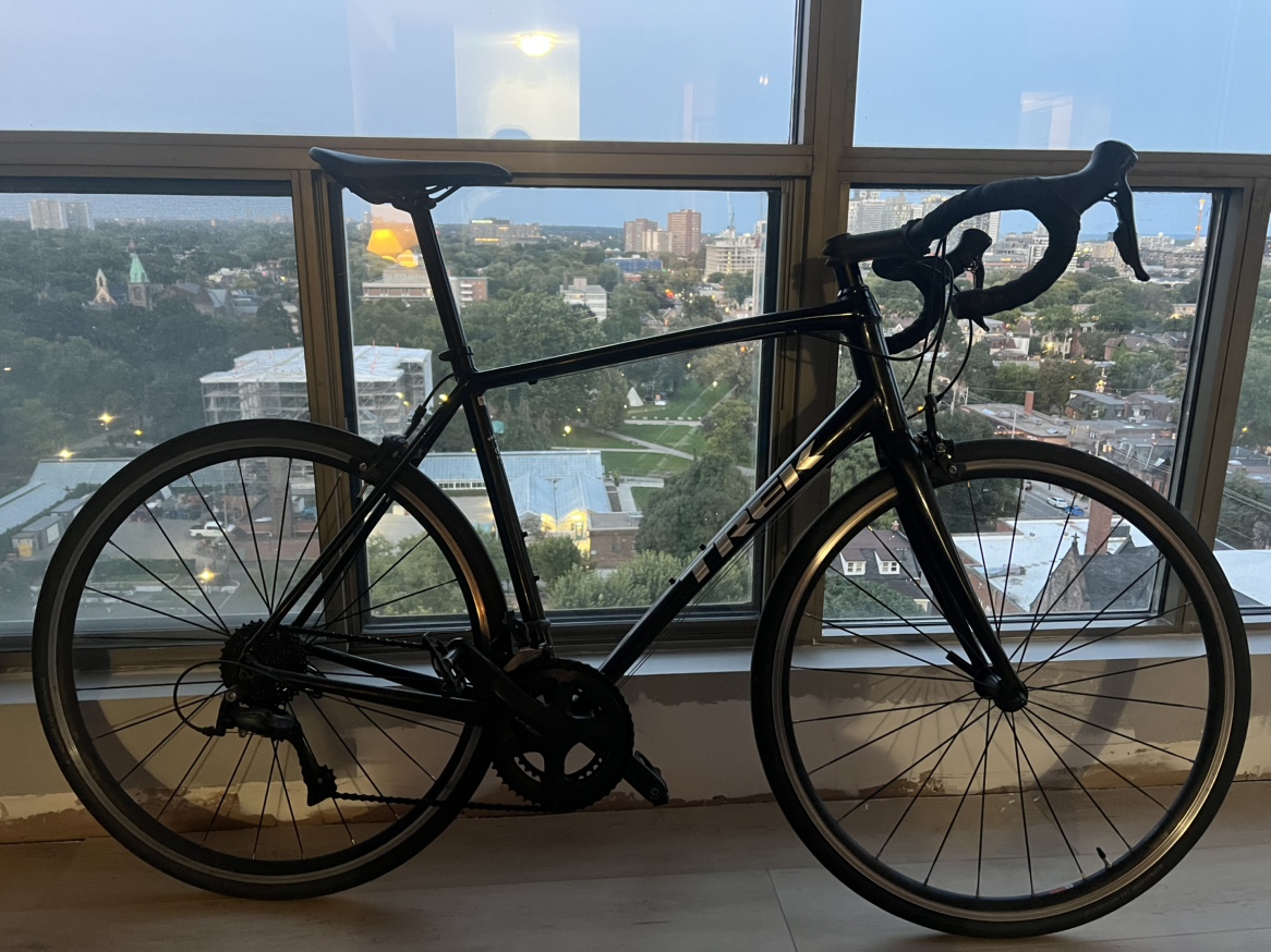Trek Domane AL 2 Road Bike