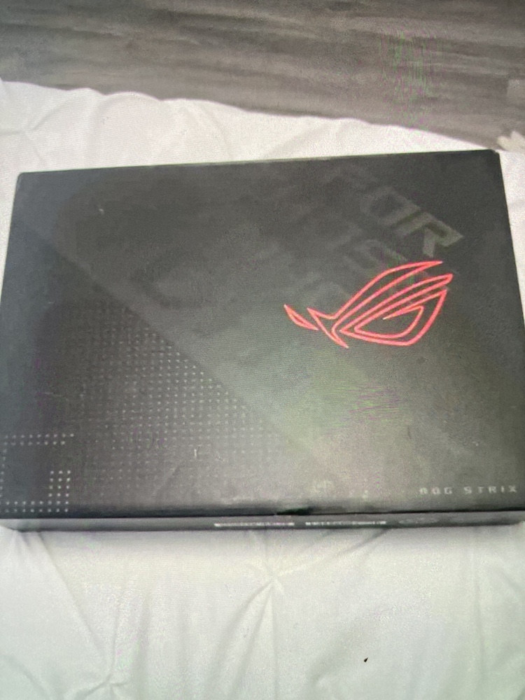 ASUS  G513RC