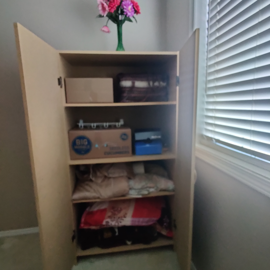 Tall Cabinet with Doors - photo 4