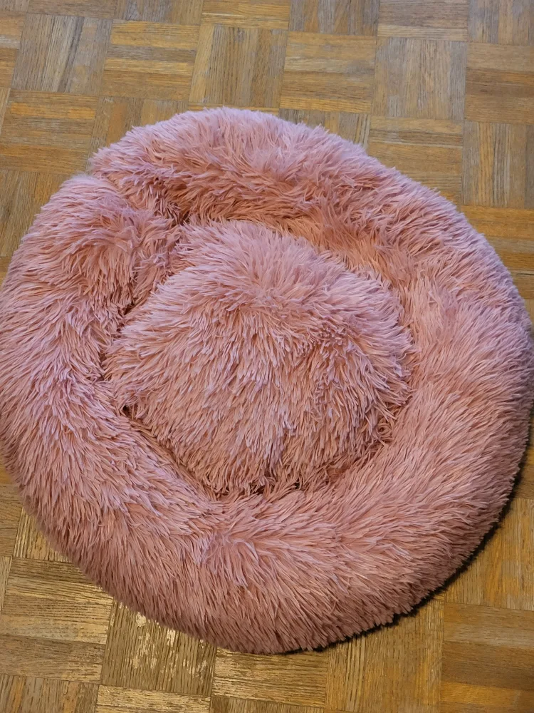 Pet Bed thumbnail