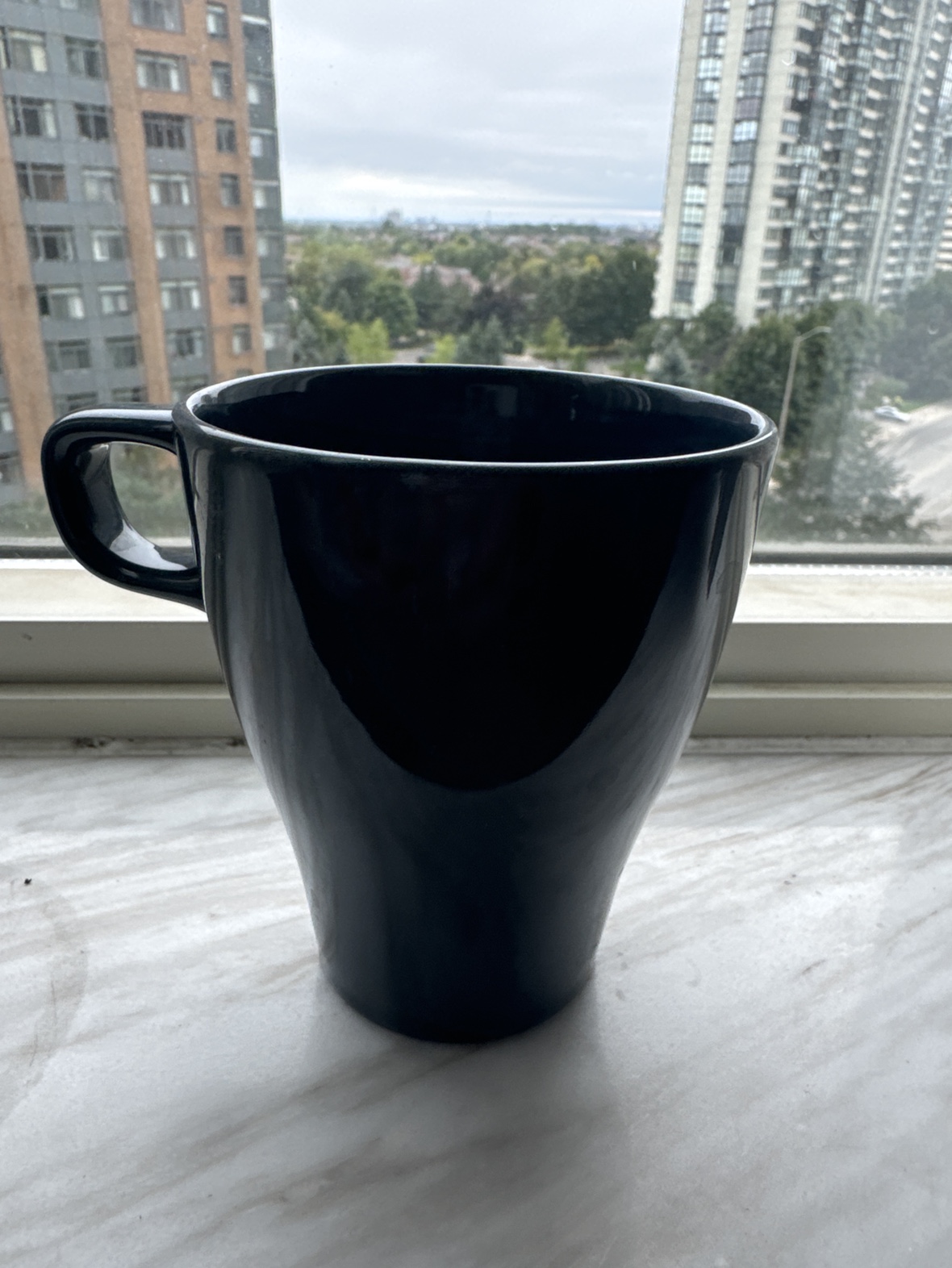 Blue and white coffee mug #freecycle