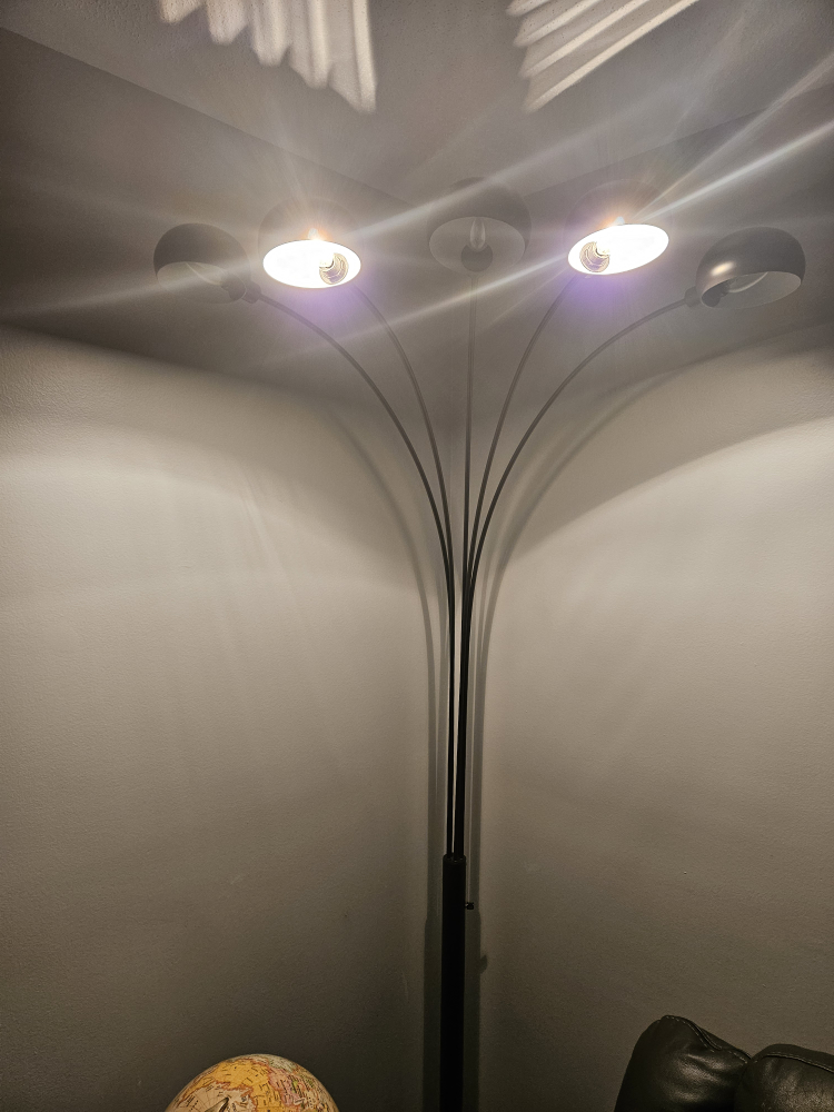 Black 5-Light Floor Lamp - photo 3