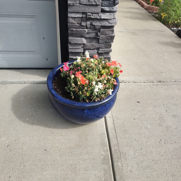 Blue Flower Pot set