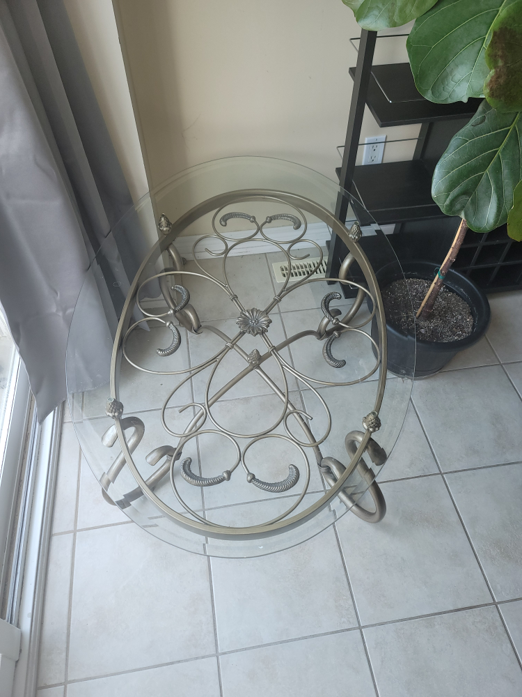 Glass and Metal Coffee Table