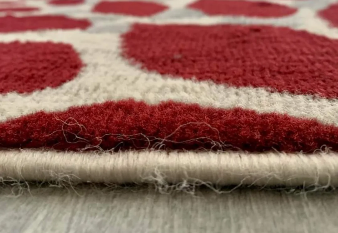 Floral Area Rug image indicator(3)