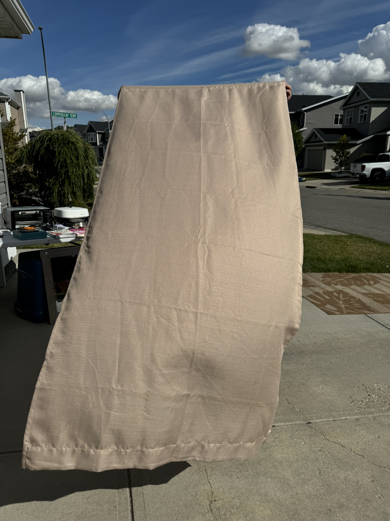 Beige Curtain Panel - photo 2