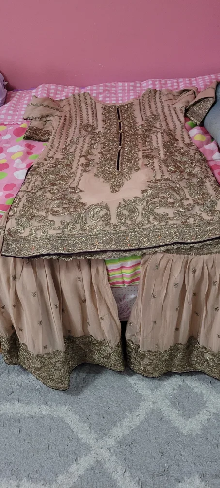 Beige Embroidered Pakistani Suit image indicator(2)