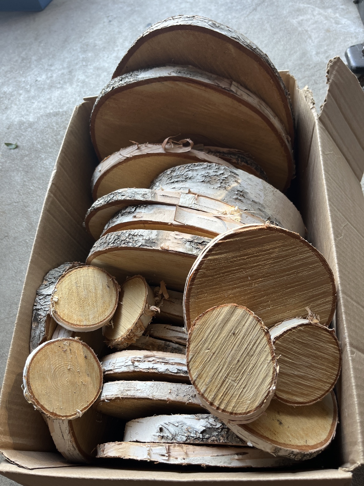 Birch Wood Rounds