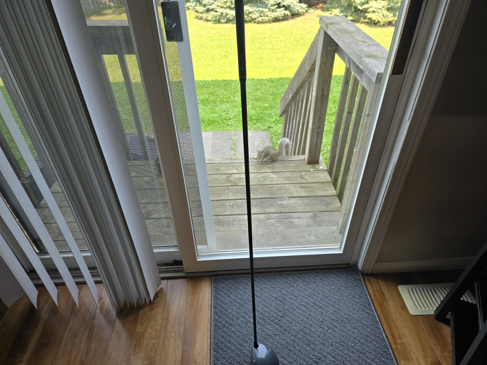 Ping T/S Tec Titanium Driver - photo 2