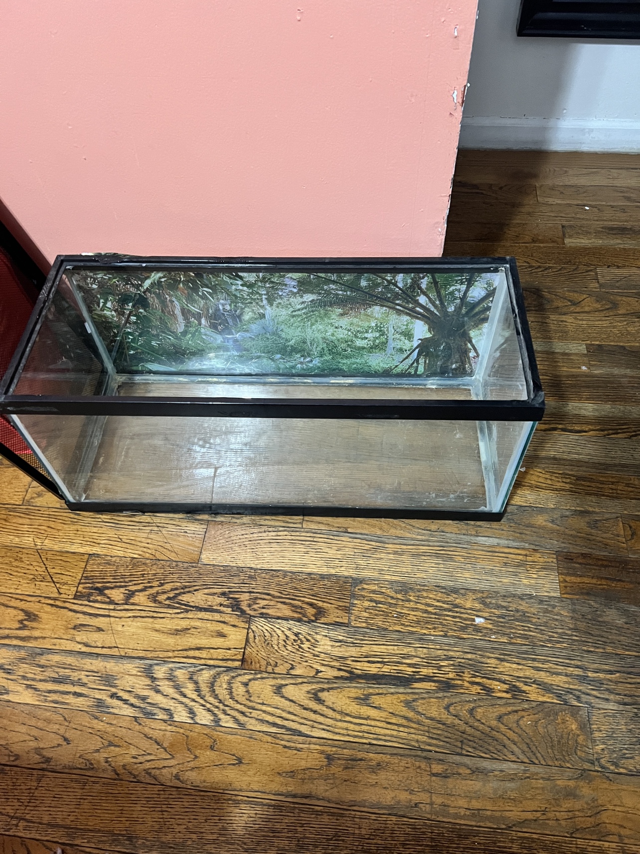 20 Gallon Fish Tank with lid