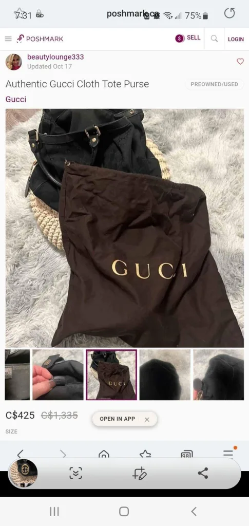 Gucci Tote Bag image indicator(4)