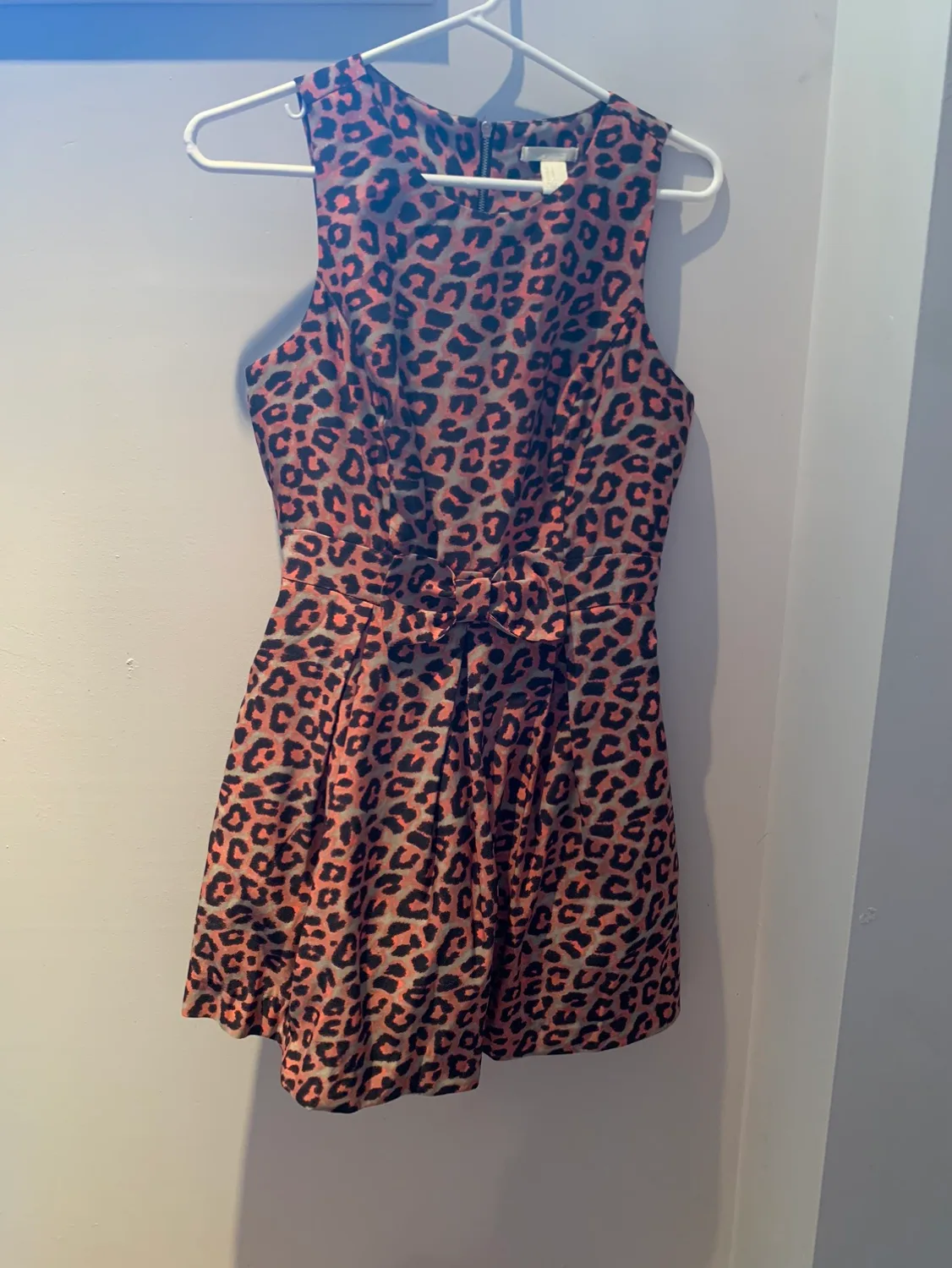 Leopard Print Dress thumbnail
