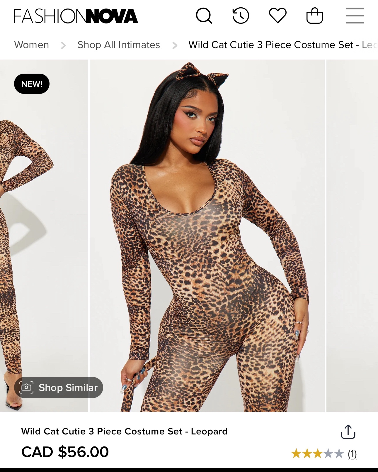 Wild Cat 3-piece Costume
