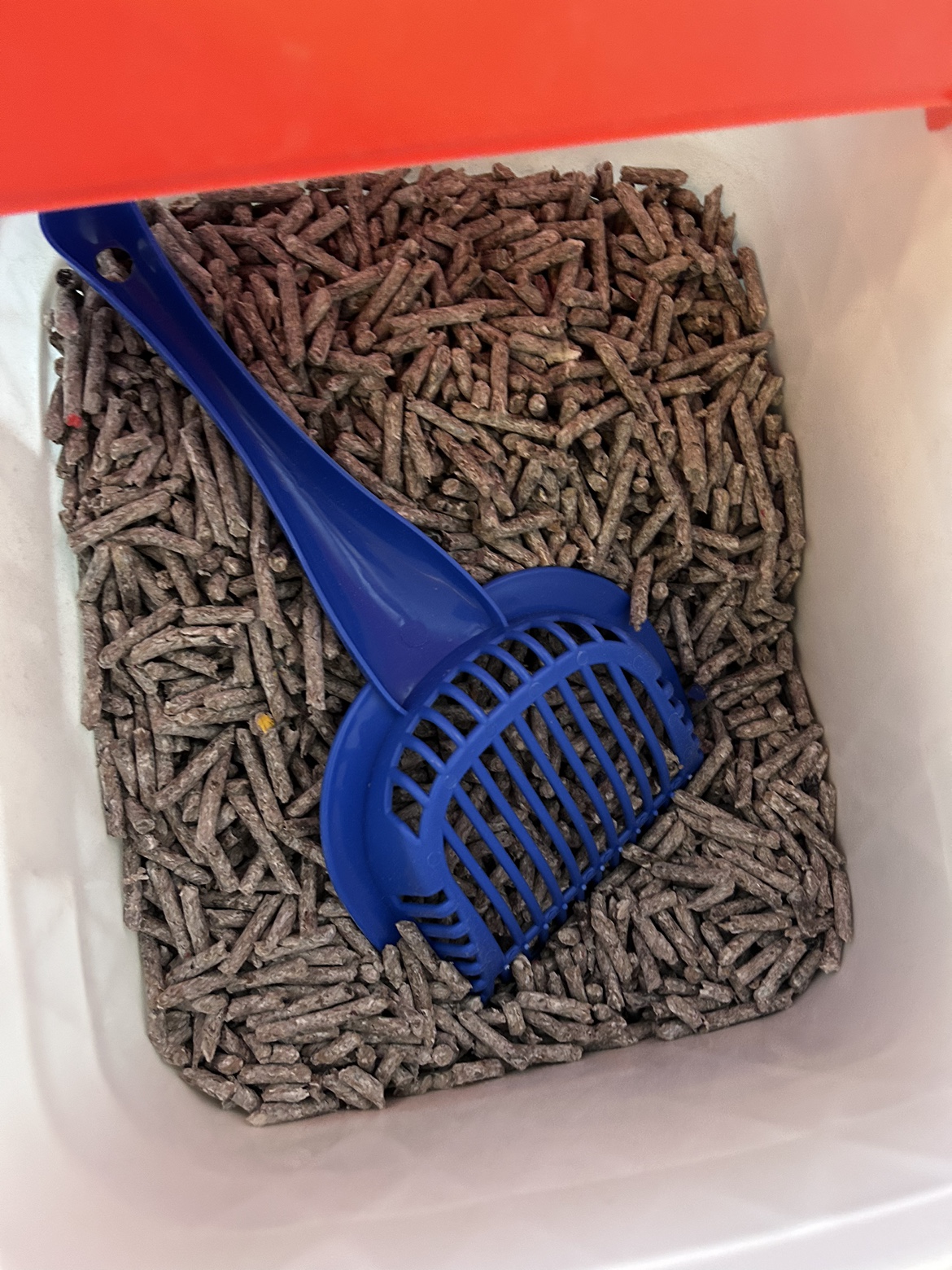 🐈‍⬛ Cat Litter Box (includes pellets) - photo 3